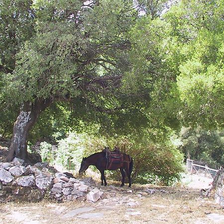Hotel Agnanti Ágios Konstantínos Dış mekan fotoğraf
